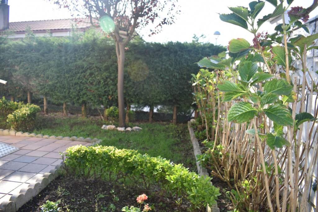Nuevo - Comodo Y Coqueto Chalet Con Jardin En Argoños Esterno foto