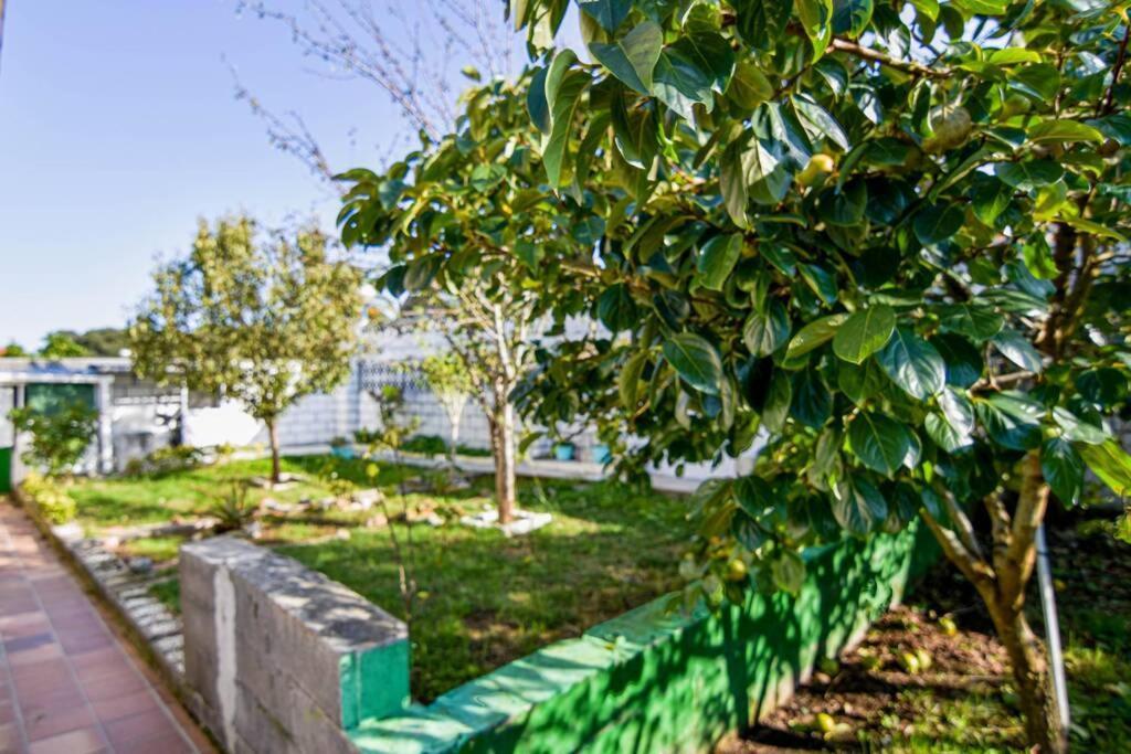 Nuevo - Comodo Y Coqueto Chalet Con Jardin En Argoños Esterno foto